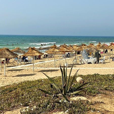 Roof Top Pied Dans L'Eau Panoramic View, 80 Meters From Seaside Hammamet Exterior photo