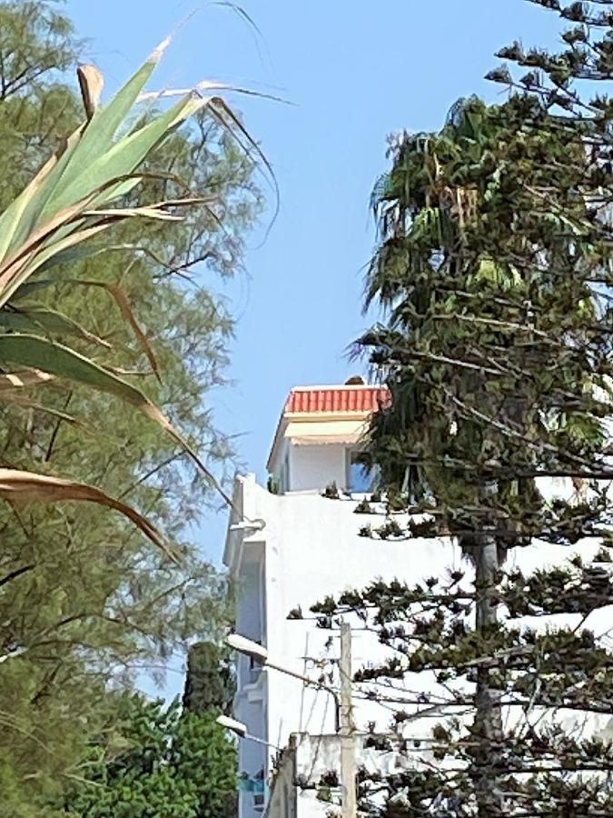 Roof Top Pied Dans L'Eau Panoramic View, 80 Meters From Seaside Apartment Hammamet Exterior photo